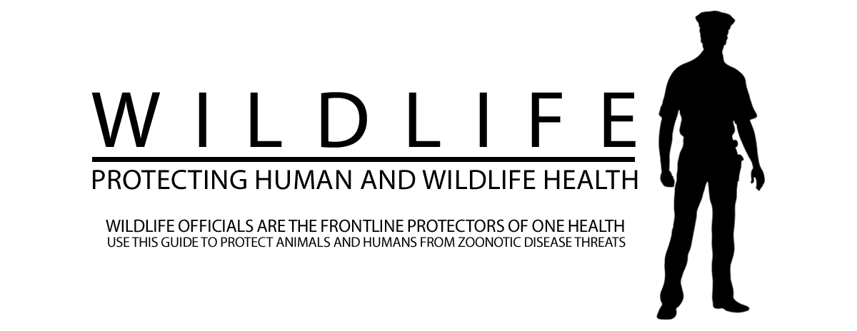 WWC Logo