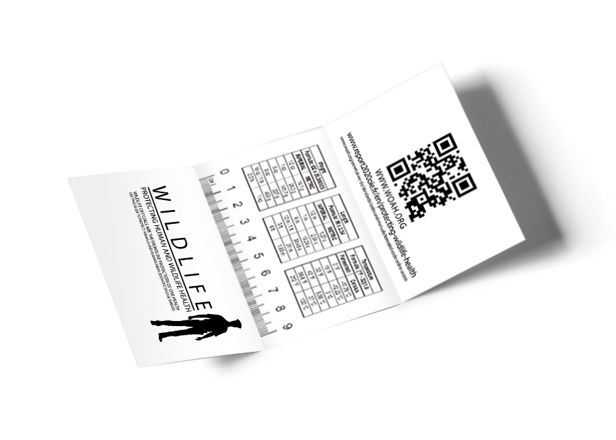 Print a single card
